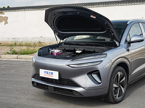 2026�� DM-i 310�콢��