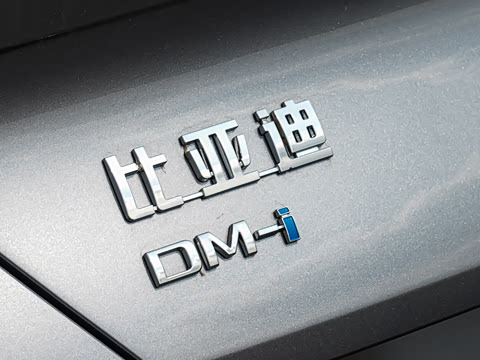 2026�� DM-i 310Զ����
