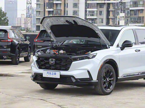 2026�� ȫ��30����ҫ�� 2.0L e:HEV �������ݰ�