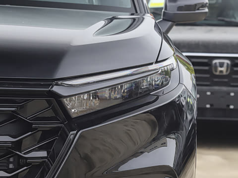 2026�� ȫ��30����ҫ�� 2.0L e:HEV ����������