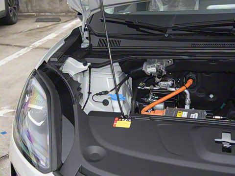 2025�� 325km ������