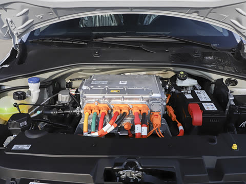 2026�� ������� �ֶ����ǽ̰� 300km