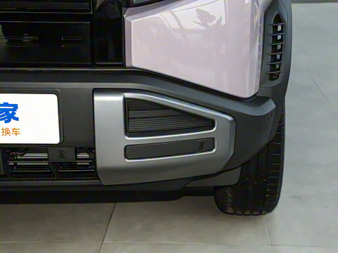 2025�� 501KM ����Max��