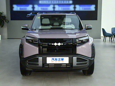 2025�� 501KM ����Max��