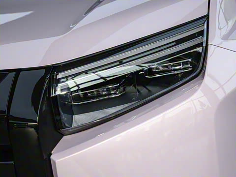 2025�� 501KM ����Max��