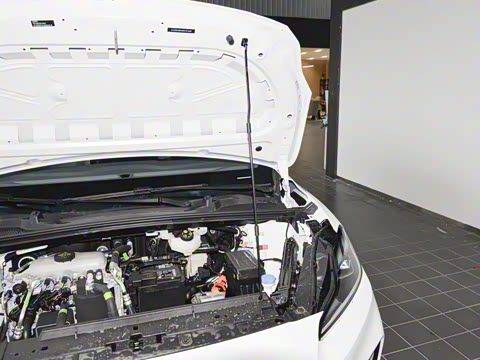 2026�� 530 ��Ȥ��