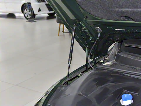 2025�� 555�Ǵ���