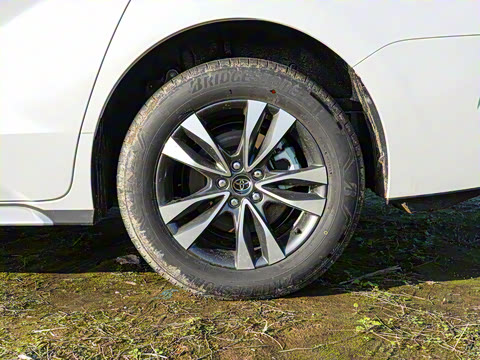 2026�� 2.5L�춯 ���PLUS������