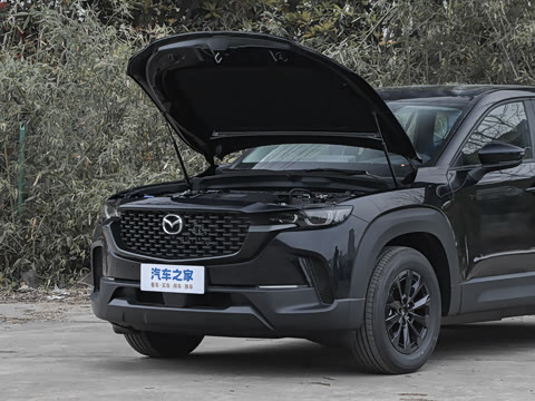 2026�� 2.5L ���а�