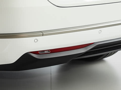 2025�� Max ������