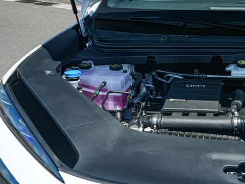 2026�� DM-i 305Զ����