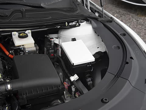 2026�� �����������̰� 310�콢��