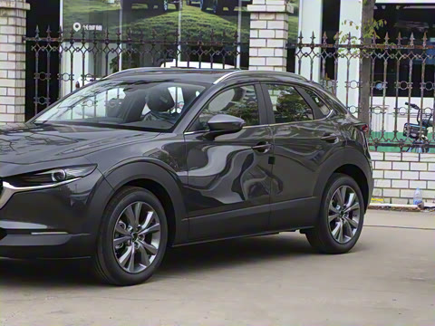 2025�� 2.0L �Զ�������