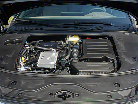 2025�� DM-i �Ǽݰ� 245KM�����