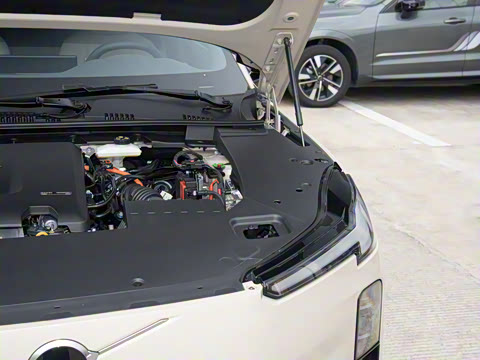 2026�� ������������Plus