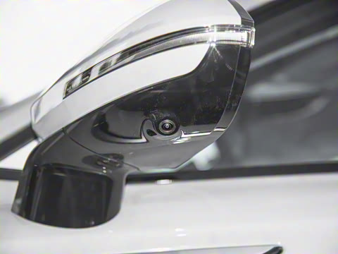 2025�� 100������Plus����