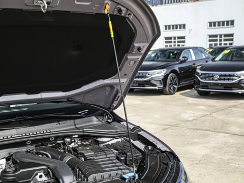 2026 Pro 300TSI ǿݰ