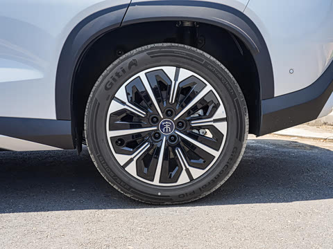 2026�� DM-i 310KM ��Խ��