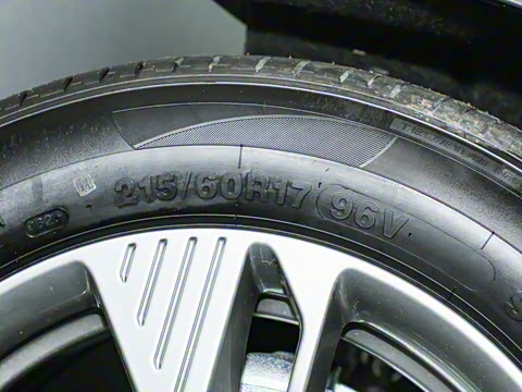 2025�� 565km �����