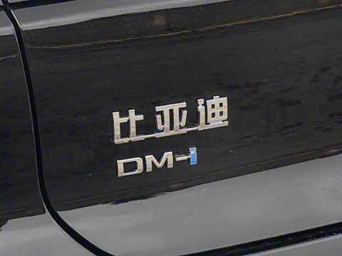 2025�� DM-i �Ǽݰ� 245KM������