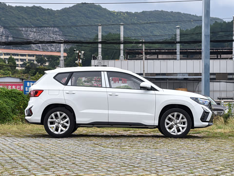 2026�� 280TSI �Զ��ȷ��