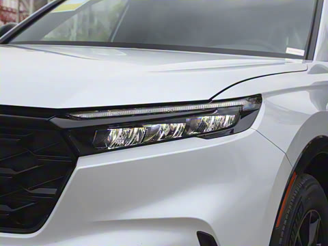 2026�� ȫ��30����ҫ�� 2.0L e:HEV ����������