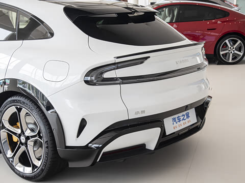 2025�� ������������Pro��