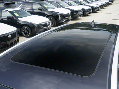 2025�� 290TGDI DCT����� 7��