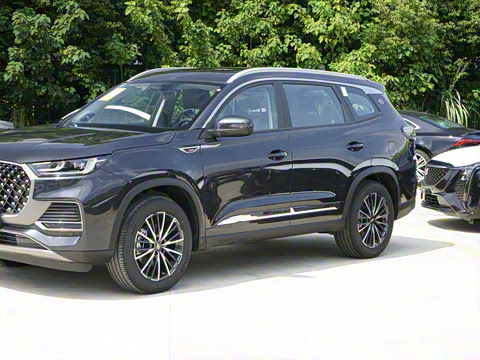 2025�� 290TGDI DCT����� 