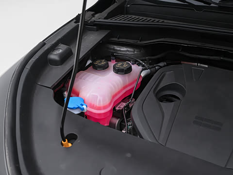 2026�� ���� ������