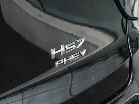 2025�� 2.0T PHEV ����200��������� 7��