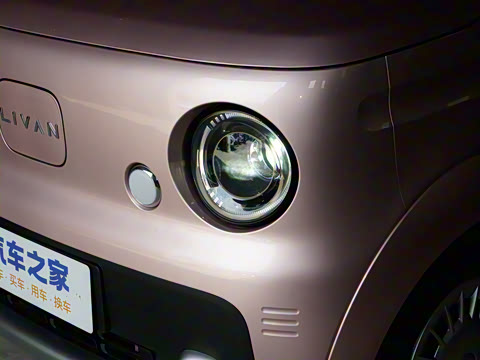 2025�� ������