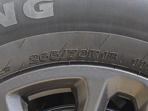 2025�� ̽Ұ�� 5��