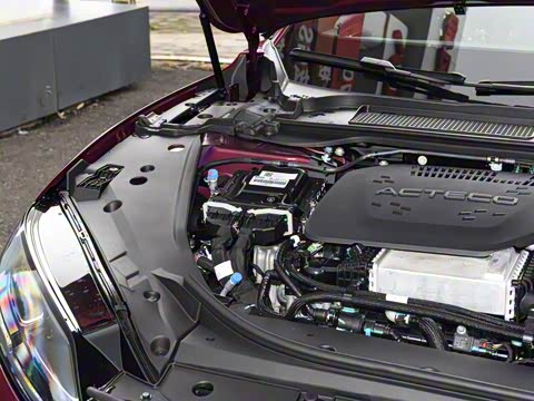 2025�� 260��������������