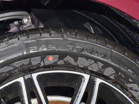 2025�� 260��������������