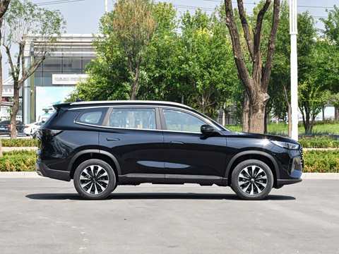 2025�� 290TGDI DCT���ư� 7��