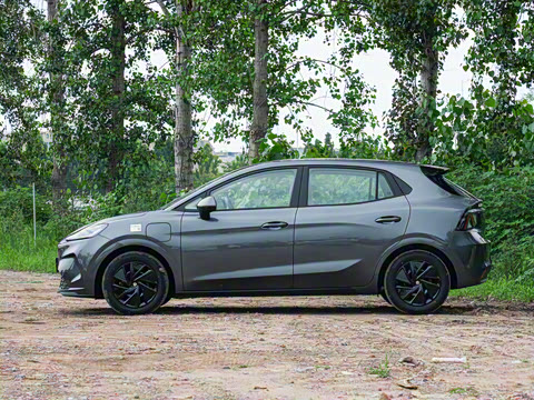 2026�� 437 ���İ�