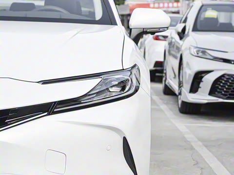 2026�� ˫�� 2.5HG ����