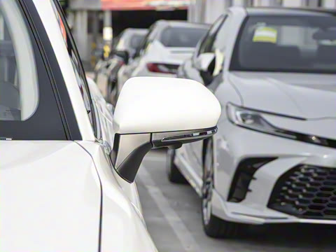 2026�� ˫�� 2.5HG ����