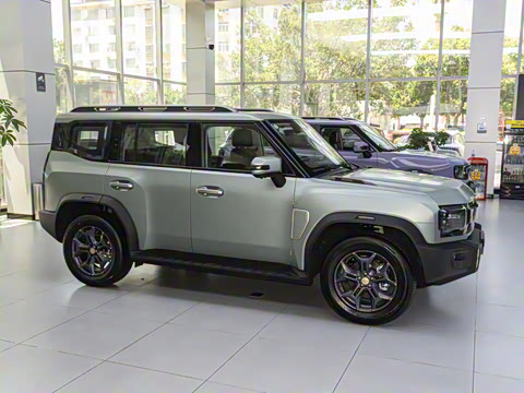 2025�� 2.0TD DCT XWD��Խ