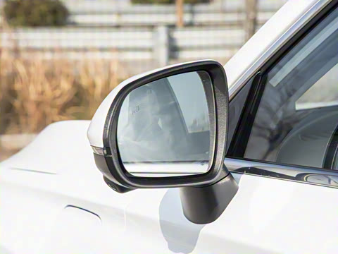 2026�� ��������