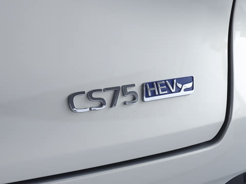 2026�� ���Ĵ� 1.5T �������� �����캽��