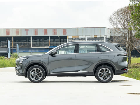 2025�� ���Ĵ� 1.5T ������ �ǻ�׿Խ��