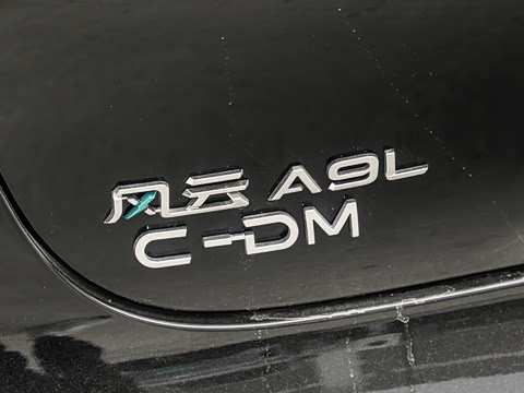 2025�� ��� ����������