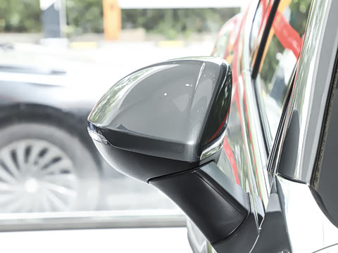 2025�� 25T �׽��