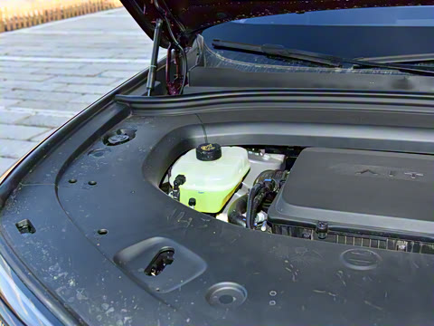 2026�� ���� Pro+������ 6��