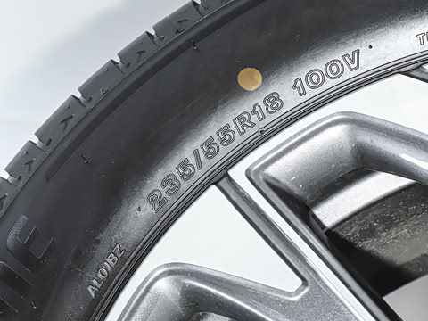 2025�� 25T �׽��