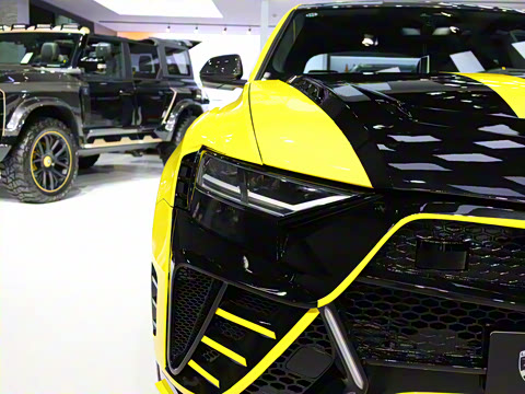 2025�� ����