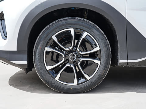 2026�� DM-i 220�캽��