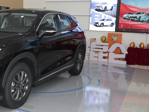 2025�� 1.5T ��ԭ������ 5��